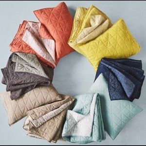 West Elm Nomad Quilted Shams- Standard (2)